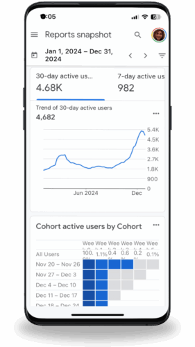 Google analytics show SEO Success